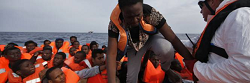 migranti